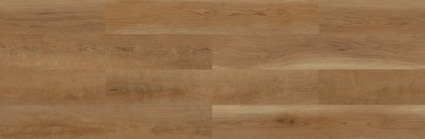 American Hickory - Image 2