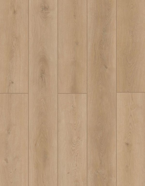 Forest Timber - Image 3
