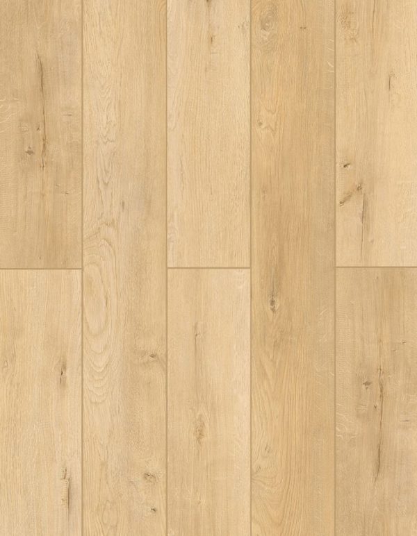 Woodland Charm - Image 3