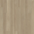 Cumberland Hickory