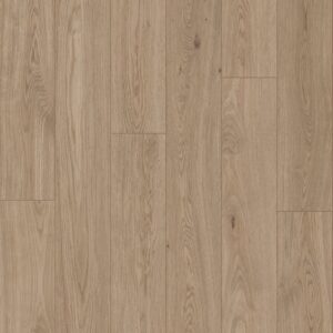Bravewood Collection