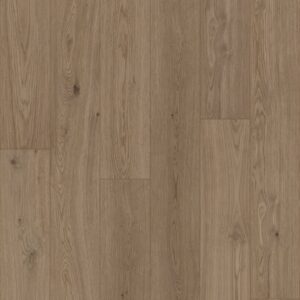 Bravewood Collection