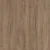 Lakeland Oak 03
