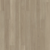 Roanoke Hickory